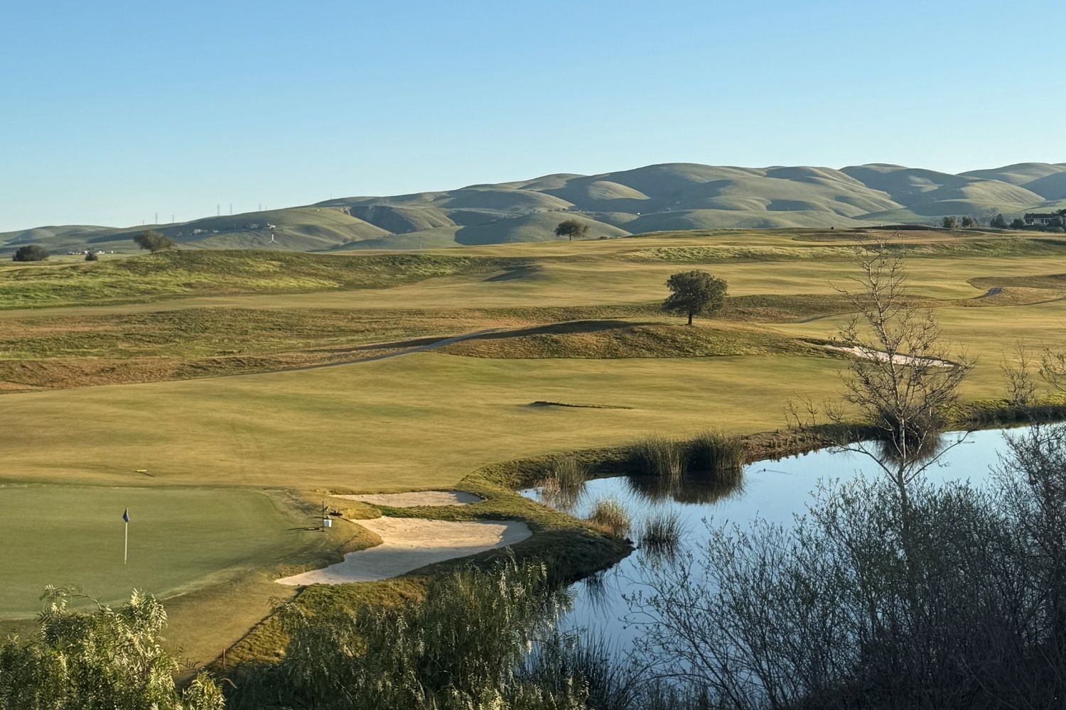 Turf Talk: Understanding Winter Dormancy at Poppy Ridge